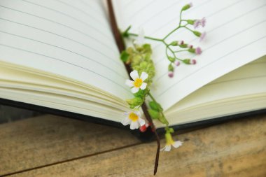 Bambu üzerine açık bir kitabın sayfaları arasındaki küçük sarı çiçeğin doğal bir arka planı var. Dünya Kitap Günü, doğa eğitimi ve açık hava okuma temaları için mükemmel..