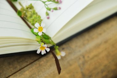 Bambu üzerine açık bir kitabın sayfaları arasındaki küçük sarı çiçeğin doğal bir arka planı var. Dünya Kitap Günü, doğa eğitimi ve açık hava okuma temaları için mükemmel..