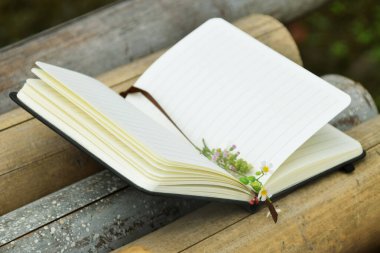 Bambu üzerine açık bir kitabın sayfaları arasındaki küçük sarı çiçeğin doğal bir arka planı var. Dünya Kitap Günü, doğa eğitimi ve açık hava okuma temaları için mükemmel..