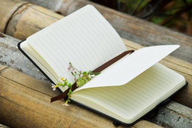 Bambu üzerine açık bir kitabın sayfaları arasındaki küçük sarı çiçeğin doğal bir arka planı var. Dünya Kitap Günü, doğa eğitimi ve açık hava okuma temaları için mükemmel..