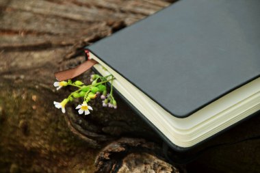 Açık hava arka planına karşı koyan küçük sarı çiçeklerden oluşan narin bir sınırla süslenmiş siyah bir ciltli kitabın yakın çekimi. Doğa, okuma ve Dünya Kitap Günü temaları için ideal.