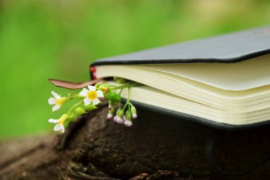 Açık hava arka planına karşı koyan küçük sarı çiçeklerden oluşan narin bir sınırla süslenmiş siyah bir ciltli kitabın yakın çekimi. Doğa, okuma ve Dünya Kitap Günü temaları için ideal.