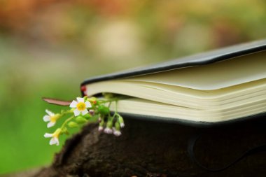 Açık hava arka planına karşı koyan küçük sarı çiçeklerden oluşan narin bir sınırla süslenmiş siyah bir ciltli kitabın yakın çekimi. Doğa, okuma ve Dünya Kitap Günü temaları için ideal.