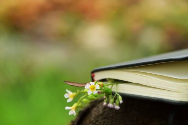 Açık hava arka planına karşı koyan küçük sarı çiçeklerden oluşan narin bir sınırla süslenmiş siyah bir ciltli kitabın yakın çekimi. Doğa, okuma ve Dünya Kitap Günü temaları için ideal.