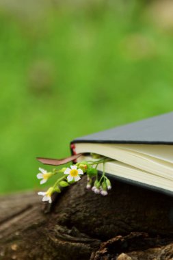 Açık hava arka planına karşı koyan küçük sarı çiçeklerden oluşan narin bir sınırla süslenmiş siyah bir ciltli kitabın yakın çekimi. Doğa, okuma ve Dünya Kitap Günü temaları için ideal.