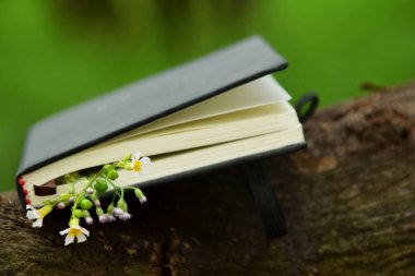 Açık hava arka planına karşı koyan küçük sarı çiçeklerden oluşan narin bir sınırla süslenmiş siyah bir ciltli kitabın yakın çekimi. Doğa, okuma ve Dünya Kitap Günü temaları için ideal.