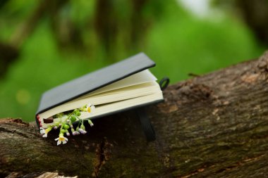 Açık hava arka planına karşı koyan küçük sarı çiçeklerden oluşan narin bir sınırla süslenmiş siyah bir ciltli kitabın yakın çekimi. Doğa, okuma ve Dünya Kitap Günü temaları için ideal.