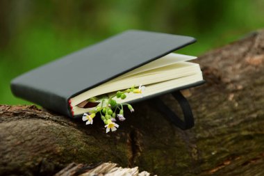 Açık hava arka planına karşı koyan küçük sarı çiçeklerden oluşan narin bir sınırla süslenmiş siyah bir ciltli kitabın yakın çekimi. Doğa, okuma ve Dünya Kitap Günü temaları için ideal.