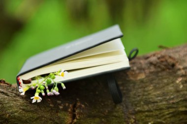 Açık hava arka planına karşı koyan küçük sarı çiçeklerden oluşan narin bir sınırla süslenmiş siyah bir ciltli kitabın yakın çekimi. Doğa, okuma ve Dünya Kitap Günü temaları için ideal.