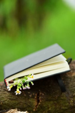 Açık hava arka planına karşı koyan küçük sarı çiçeklerden oluşan narin bir sınırla süslenmiş siyah bir ciltli kitabın yakın çekimi. Doğa, okuma ve Dünya Kitap Günü temaları için ideal.