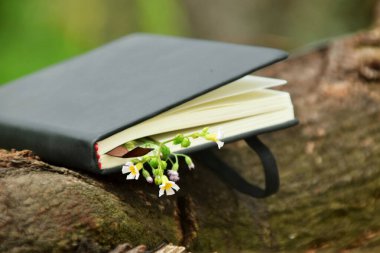 Açık hava arka planına karşı koyan küçük sarı çiçeklerden oluşan narin bir sınırla süslenmiş siyah bir ciltli kitabın yakın çekimi. Doğa, okuma ve Dünya Kitap Günü temaları için ideal.