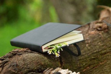 Açık hava arka planına karşı koyan küçük sarı çiçeklerden oluşan narin bir sınırla süslenmiş siyah bir ciltli kitabın yakın çekimi. Doğa, okuma ve Dünya Kitap Günü temaları için ideal.