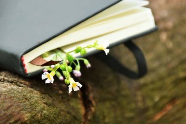 Üzerinde küçük sarı bir çiçek yer imi olan siyah bir ciltli kitabın yakın çekimi, bir ağaç dalında doğal bir arkaplana karşı dinleniyor. Doğa, okuma ve Dünya Kitap Günü temaları için ideal.