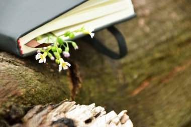 Üzerinde küçük sarı bir çiçek yer imi olan siyah bir ciltli kitabın yakın çekimi, bir ağaç dalında doğal bir arkaplana karşı dinleniyor. Doğa, okuma ve Dünya Kitap Günü temaları için ideal.