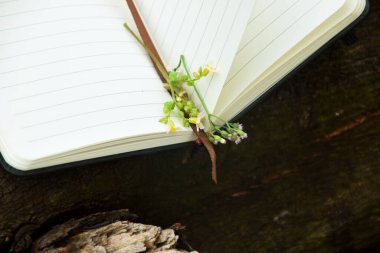 Bambu üzerine açık bir kitabın sayfaları arasındaki küçük sarı çiçeğin doğal bir arka planı var. Dünya Kitap Günü, doğa eğitimi ve açık hava okuma temaları için mükemmel.