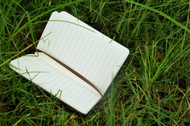 Yeşillik çimenlerin üzerinde duran ve doğadaki öğrenmeyi sembolize eden bir kitap ayracı olan küçük açık bir kitabın yakın çekimi. Eğitim, açık hava okuma ve Dünya Kitap Günü temaları için mükemmel..