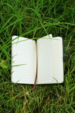 Yeşillik çimenlerin üzerinde duran ve doğadaki öğrenmeyi sembolize eden bir kitap ayracı olan küçük açık bir kitabın yakın çekimi. Eğitim, açık hava okuma ve Dünya Kitap Günü temaları için mükemmel..