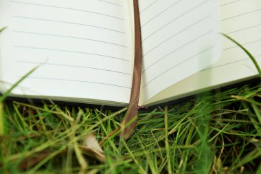 Yeşillik çimenlerin üzerinde duran ve doğadaki öğrenmeyi sembolize eden bir kitap ayracı olan küçük açık bir kitabın yakın çekimi. Eğitim, açık hava okuma ve Dünya Kitap Günü temaları için mükemmel..