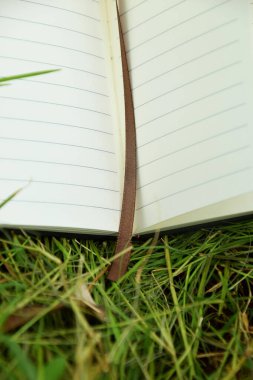 Yeşillik çimenlerin üzerinde duran ve doğadaki öğrenmeyi sembolize eden bir kitap ayracı olan küçük açık bir kitabın yakın çekimi. Eğitim, açık hava okuma ve Dünya Kitap Günü temaları için mükemmel..