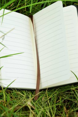Yeşillik çimenlerin üzerinde duran ve doğadaki öğrenmeyi sembolize eden bir kitap ayracı olan küçük açık bir kitabın yakın çekimi. Eğitim, açık hava okuma ve Dünya Kitap Günü temaları için mükemmel..