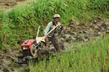 Tasik, Endonezya - 1 Nisan 2025: Endonezyalı bir erkek çiftçinin Tasikmalaya, Batı Java, Endonezya 'da kendi pirinç tarlasında traktör kullanırken çekilmiş yakın plan fotoğrafı.