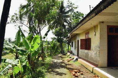 Tasik, Endonezya - 1 Nisan 2025: Tasikmalaya bölgesinde, Batı Java, Endonezya 'da doğayla, bahçeyle ve yoğun bitkilerle çevrili geleneksel kırsal ev.