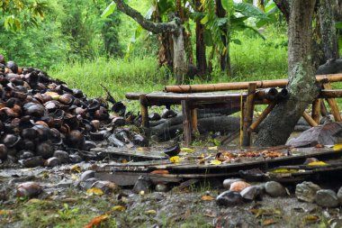 Çürümüş hindistan cevizi kabukları ve bambu sandalyelerle dolu bir bahçenin atmosferi..
