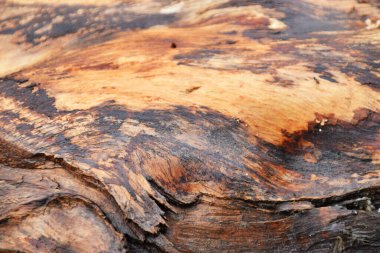 Siyah kahverengi ağaç kabuğu dokusu çok detaylı ve arka plan için uygundur.