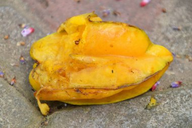 Bir kaldırım taşına düşen sarı bir meyvenin yakın plan fotoğrafı ve çürümeye başlamış gibi görünüyor..