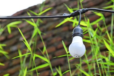 Yukarıda asılı duran bir lambanın doğal bir yaprak arka planı var..