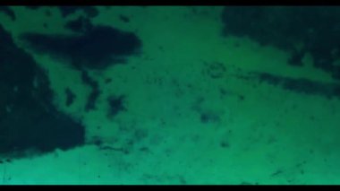 İnsansız hava aracı statik, kristal berrak turkuaz Karayip denizi