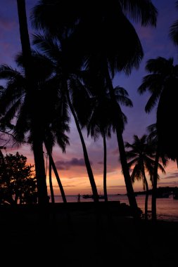 Sıcak Günbatımı Silueti: İnsanlar ve Palm Trees Alacakaranlık 'ta Sandy Karayipleri' nin kıyı şeridini sıralıyor.