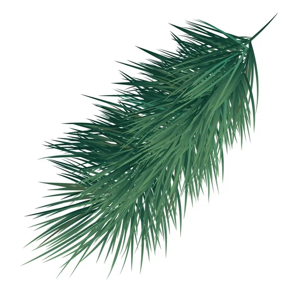 Vert Branche Épinette Épinette Épineuse Luxuriante — Image vectorielle