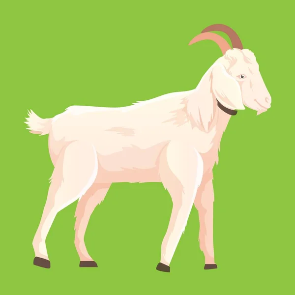 Goat Ram Sheep Kurban Bayram Chinese New Year — Stock Vector