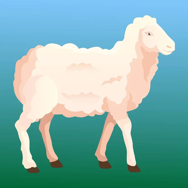 羊のカルバン バヤラム ラマダーン グラス — ストックベクタ
