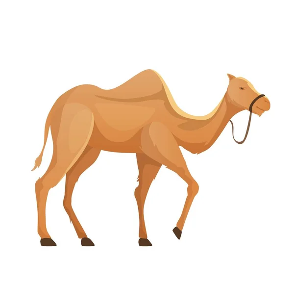 Kamel Profil Auf Weißem Hintergrund Vektor Illustration — Stockvektor