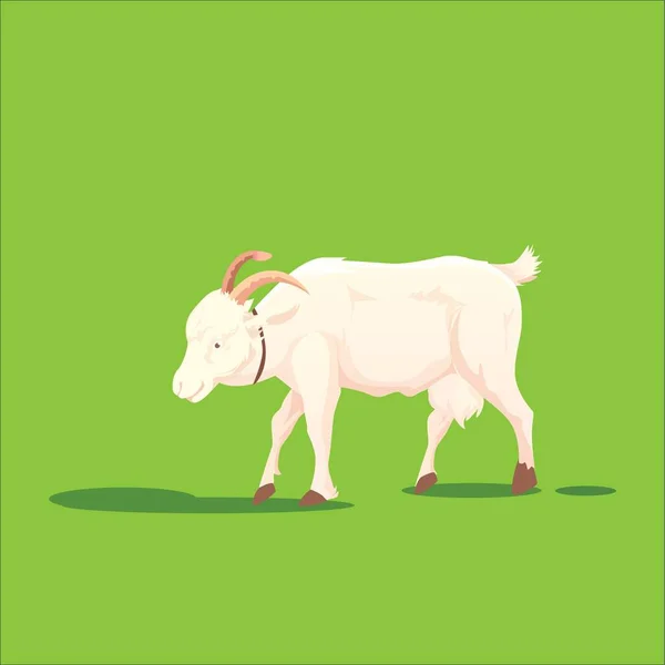 Cabra Con Cuernos Pastando Hierba — Vector de stock