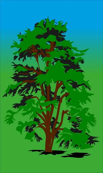 Einsamer Baum Mit Üppiger Krone — Stockvektor
