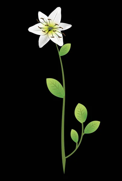 flower like a white lily with stamens