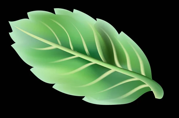 Green Leaf Tree — Stock Vector
