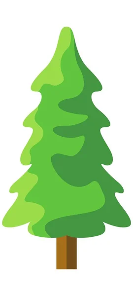 Pine Spruce Coniferous Tree Vector Illustration — 스톡 벡터