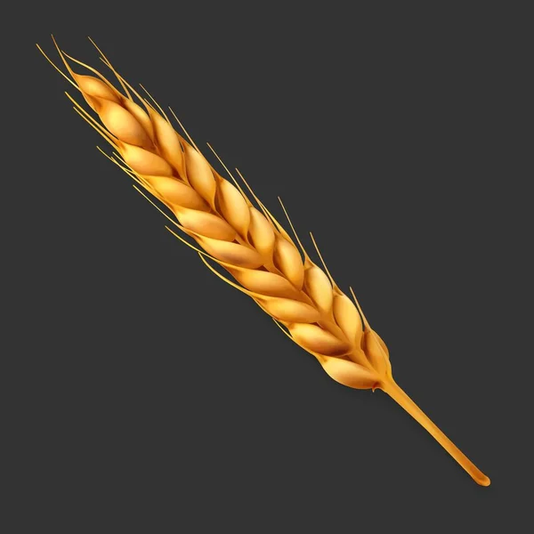 Spikelet Wheat Vector Illustration — Stock Vector