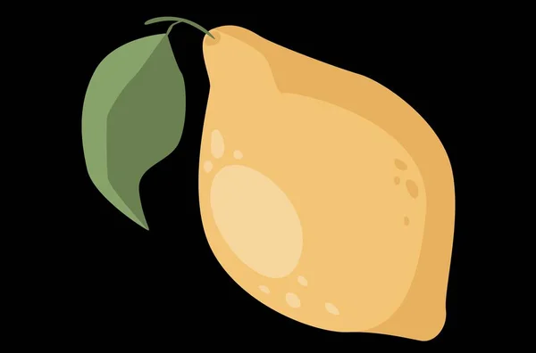 Fruto Limão Com Ilustração Vetorial Galho —  Vetores de Stock