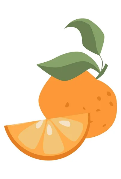 Fruit Orange Avec Illustration Vectorielle Rameaux — Image vectorielle