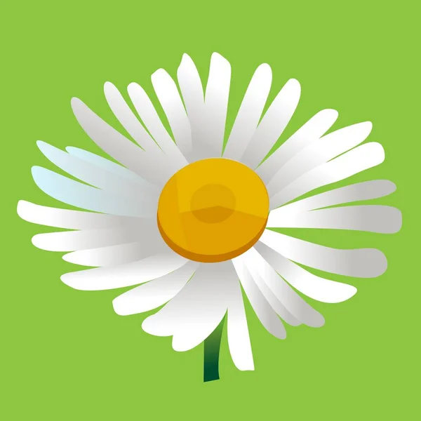 Fleur Camomille Sur Fond Vert — Image vectorielle