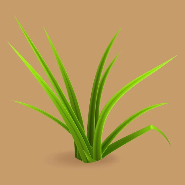 Illustration Vectorielle Herbe Verte — Image vectorielle