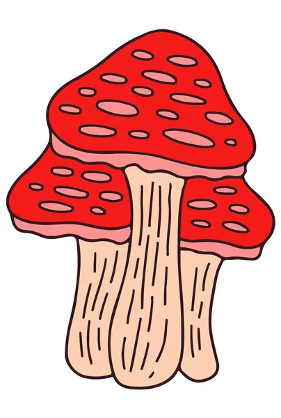 Três Cogumelos Com Gorros Vermelhos Voam Agárico —  Vetores de Stock