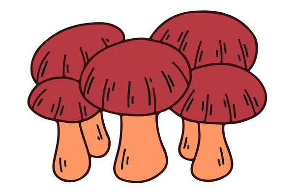 Família Cogumelos Com Gorros Marrons —  Vetores de Stock