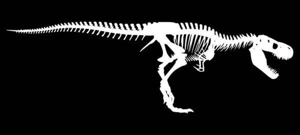 Biały Szkielet Dinozaura Czarnym Tle — Wektor stockowy