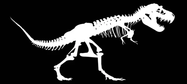 Esqueleto Dinossauro Branco Fundo Preto —  Vetores de Stock
